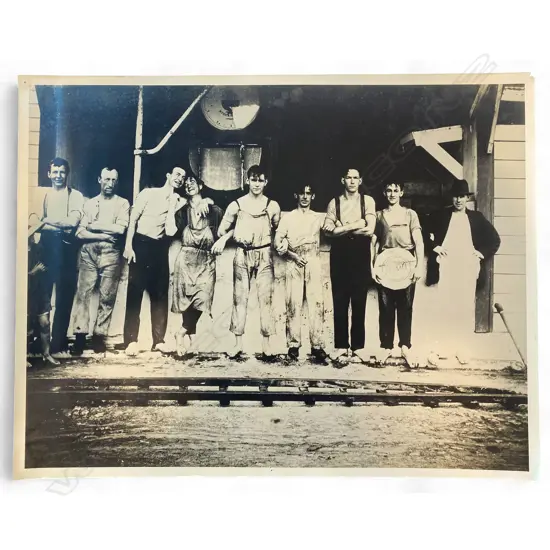 Unidentified photographer - Pihana Cream Factory workers group portrait,